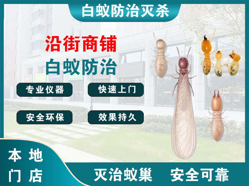 丹阳市沿街商铺白蚁防治