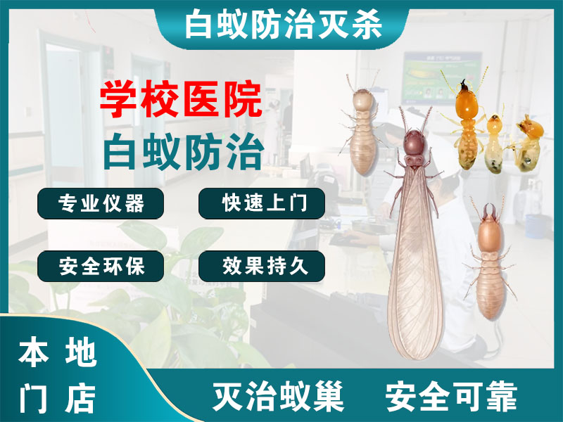 丹阳市学校医院白蚁防治