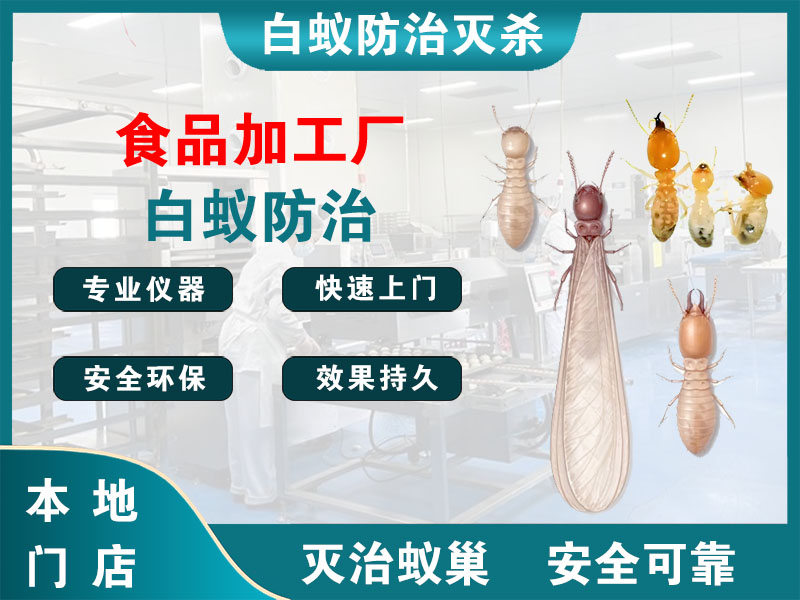 丹阳市食品加工厂白蚁防治