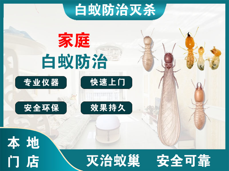 丹阳市家庭白蚁防治
