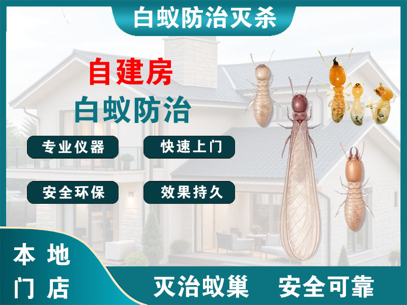 丹阳市自建房白蚁防治