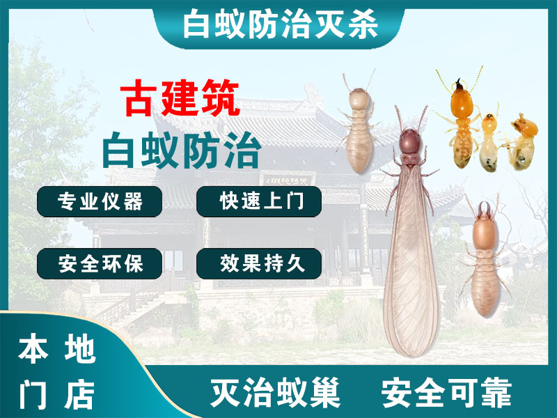 丹阳市古建筑白蚁防治