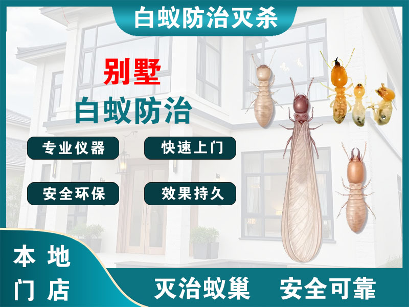 丹阳市别墅白蚁防治