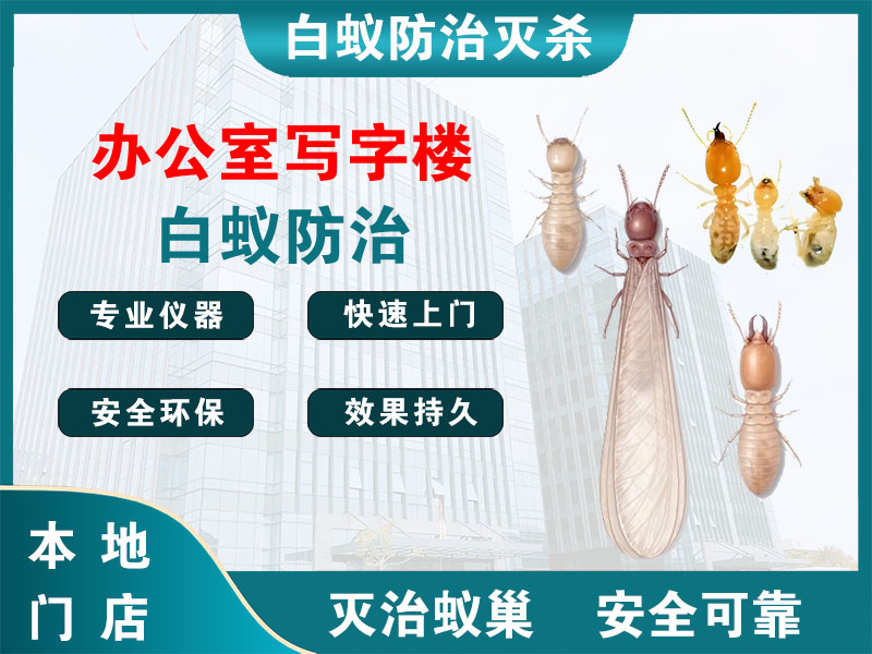 丹阳市办公室写字楼白蚁防治