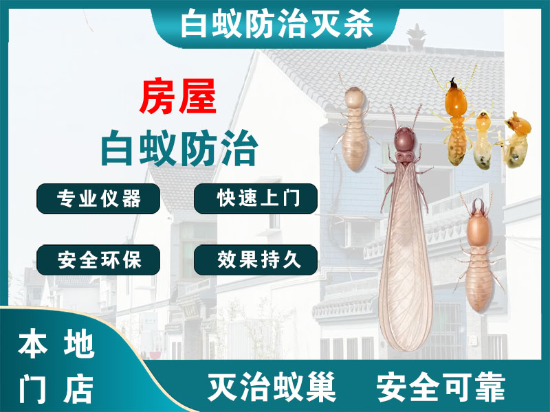 丹阳市房屋白蚁防治